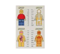 Anatomy Art Poster 4 Canvas Poster Bedroom Decor Landscape Office Room Decor Gift 08x12inch(20x30cm)