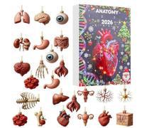 Anatomy Calendar 2026 Advent 24 Day 2D Acrylic Skeleton Heart Brain Set | 24 Day Countdown, 2D Acrylic Skeleton Heart Brain Ornaments, For Doctors, Students, Science Lovers, Home, Classroom