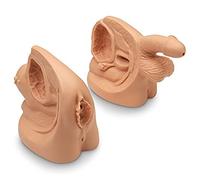 Anatomy Catheterization Model,Male Female Catheterization Model Internal And External Anatomy Model And Urinary Cathete