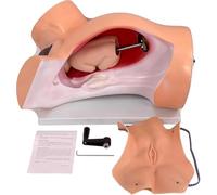 Anatomy Childbirth Simulator Manikin Childbirth Demonstration, Child Birth Education Tools,Advanced Simulation Birth,Delivery Process Demonstration Teaching Model