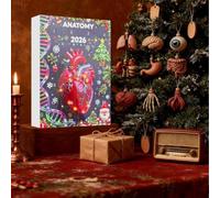 Anatomy Christmas Countdown Calendar 2026-24 Days Science Ornaments | Anatomy 2D Acrylic Ornaments, 2D Acrylic Human Body Skeleton Heart Brain Models For Tree Desk Wall Display Doctors Gift