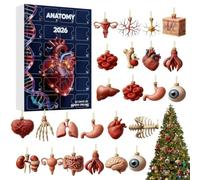 Anatomy Countdown Calendar 2026 Christmas 24 Days Science Ornaments | 2D Acrylic Human Body Skeleton Heart Brain Models, Medical Science Gift for Doctors, Students, Classroom & Clinic Tree Decor