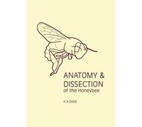 Anatomy & Dissection of the Honeybee