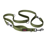 Anatomy Dog Lead Halti Green S