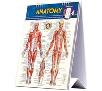 Anatomy Easel: a QuickStudy reference tool (Quick Study Easel)