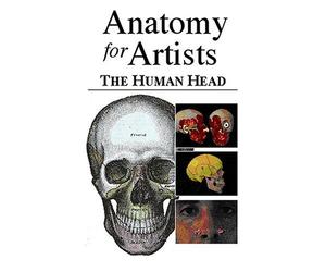 Anatomy For Artists: Human Head [DVD] [2004] [Region 1] [US Import] [NTSC]