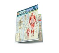 Anatomy Fundamentals: Life Science: Life Science: Humans (Quick Study Academic)