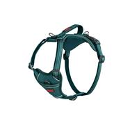 Anatomy Harness for Dogs Teal - X Small