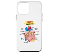 Anatomy Human Heart Cardiologists Doctor Anatomical Medical Case for iPhone 12 mini