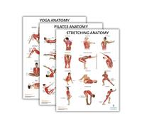 Anatomy Lab Yoga, Pilates, and Stretching Anatomy Poster Set - 3 PACK LAMINATED, Anatomy and Physiology Poster, 17.3 x 22.5 Inches, Stretching Exercise Chart Posters for Wall
