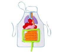 Anatomy Learning Apron - 3d Human Body Organ Toy, Educational Teaching Tool, Hands on Learning with Soft Plush Material and Realistic Organ Placement | Human Body Apron for Kids Classroom Science