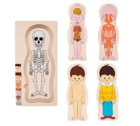 Anatomy Learning Puzzle - Multi-Layered Human Puzzlee, Organs Skeleton Educational Toy | Early Childhood Cognitive Development Puzzle for Girls Boys Classroom Home Play