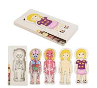 Anatomy Lernpuzzle - Vorschulspielzeug Holz, Kinderpädagogik Spiel, Körper Lernset Klassenzimmer | Interaktiv Wissensspiel Menschenkörper, Lehrreich Vorschüler Bildungsspiel Junge Mädc