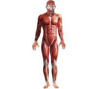 Men's Anatomy Realistic Titan Horror Halloween Skin Fancy Dress Costume Large