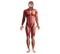 Anatomy Man Fancy Dress Costume Adult Mens Large