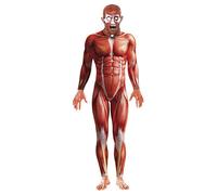 Anatomy Man Fancy Dress Costume Adult Mens Medium
