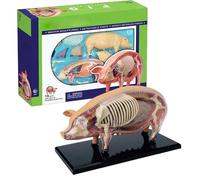 Anatomy Model Animal - Detachable Hog Anatomy Model | Biology Science Toy Detachable Teaching Education Aids for Student Laboratory Schools Classroom Veterinary Learning