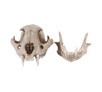 Anatomy Model Animal Resin Leopard Skeleton Sketch Practice Classroom Teaching Accessories Animal Skull Model For Animal Skull Learning Resources