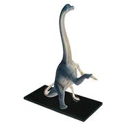 Anatomy Model, Assembly Ional Model Brachiosaurus Anatomical Model Animal Model Detachable 42 Organs Body Parts Anatomical Brachiosaurus Model
