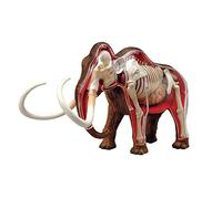 Anatomy Model, Assembly Mammoth Animal Model 4d Vision Removable Organs and Body Parts Kit Teaching for Schooledical Demonstration Skeleton