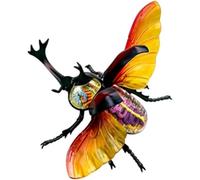 Anatomy Model Beetle Organ Anatomy Model Educational Model 4D Hercules Beetle Anatomical Models Internal Organ Skeleton Group Assembly Model Detachable Simulation Animal