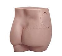 Anatomy Model Buttocks Injection Training Simulator with Marked Zones & Removable Modules, 18.5x18.5x26cm Figure Model for Anatomy Study, Human Body Model Anatomy Doll