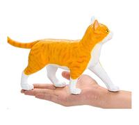 Anatomy Model Cat Anatomical Model - 4D Vision Tabby Orange Cat Skeleton Anatomical Model - Medical Teaching Model Cat Anatomy Model - for Teaching,A