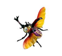 Anatomy Model, Educational Model Stag Beetle Organ Anatomy Model 4D Hercules Beetle Anatomical Models Internal Organ Skeleton Group Assembly Model Detachable Simulation Animal
