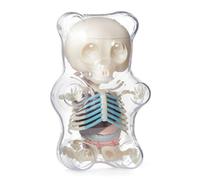 Anatomy Model Gummi Bear Skeleton Anime Assembly Action Figure Gifts Science Animal Model