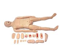 Anatomy model Human Simulator, Nursing Mannequin Model, Advanced Full Function Patient Care Simulator, for Science Classroom Study Display -
