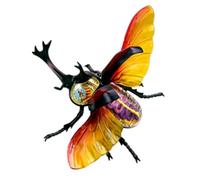Anatomy Model, Insects Anatomy Model 4D Organs Anatomy Animal Model DIY Appliances