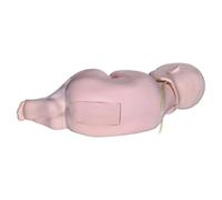 Anatomy Model Lumbar Puncture Simulator for Anatomy Study Tools, Human Body Model for Kids with Realistic Spinal Landmarks and Fluid Simulation