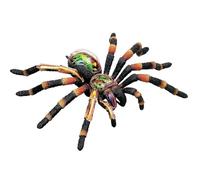 Anatomy Model Spider with 33 Organs for Educational Use | Spider Anatomy Model with 33 Organs for Educational Purposes - Perfect for Teaching Biology and Understanding Anatomy