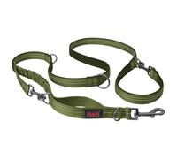 Anatomy Multi Lead