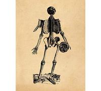 Anatomy Notebook: Andreas Vesalius - Muscles 15 Premium College Ruled Notebook | 110 Pages