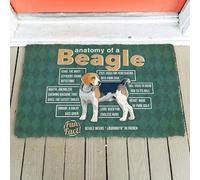 Anatomy of A Beagle Dog Doormat, Funny Beagle Dog Lovers Home Doormat 23.6x15.7 Inch