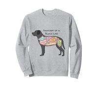 Anatomy of a Black Lab Sweatshirt