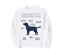 Anatomy Of A Brewery Dog Labrador Craft Stout Dad Sweatshirt