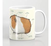 Anatomy of a Guinea Pig 11 OZ Coffee Mug