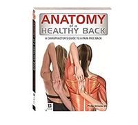anatomy of a healthy back,