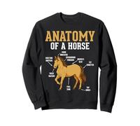 Anatomy Of A Horse Funny Equestrian Neigh Horse Lovers Sweatshirt