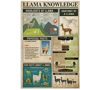 Anatomy Of A Llama Metal Tin Signs Llama Knowledge Retro Poster Llama Infographics Printing Plaques Home Office Classroom Education Wall Decor 8x12 Inches