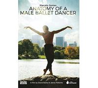 Anatomy of a Male Ballet Dancer