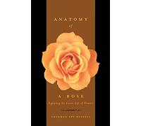 Anatomy of a Rose: Exploring the Secret Life of Flowers