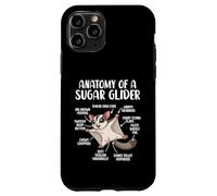 Anatomy Of A Sugar Glider Funny Cute Sugar Glider Lover Case for iPhone 11 Pro