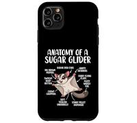 Anatomy Of A Sugar Glider Funny Cute Sugar Glider Lover Case for iPhone 11 Pro Max