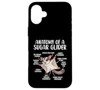 Anatomy Of A Sugar Glider Funny Cute Sugar Glider Lover Case for iPhone 16 Plus