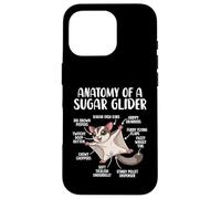 Anatomy Of A Sugar Glider Funny Cute Sugar Glider Lover Case for iPhone 16 Pro