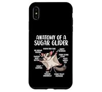 Anatomy Of A Sugar Glider Funny Cute Sugar Glider Lover Case for iPhone XS Max