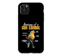 Anatomy of a Sun Conure - Funny Parrot Design Case for iPhone 11 Pro Max